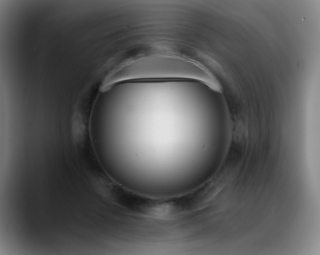 X0000089880456200707121815