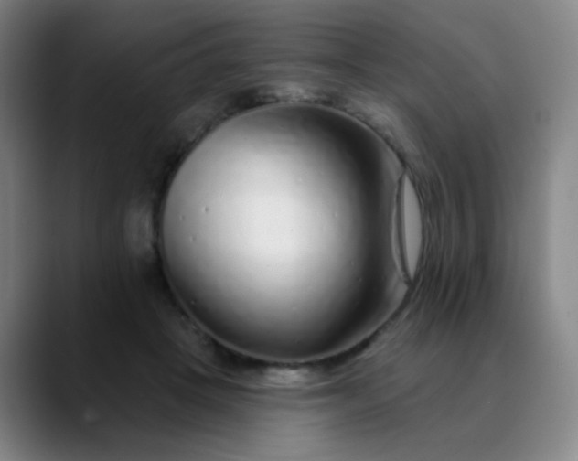 X0000089880457200707121815