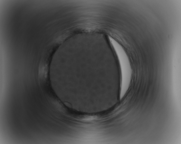 X0000089880458200707121815