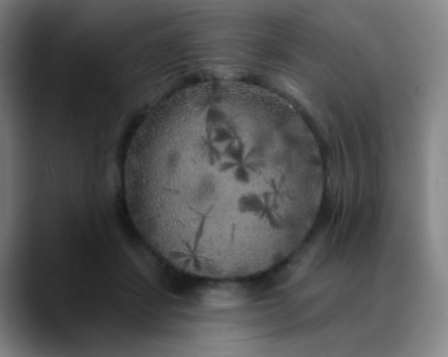 X0000089880459200707121815