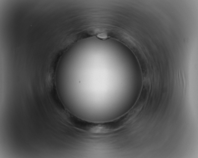 X0000089880460200707121815