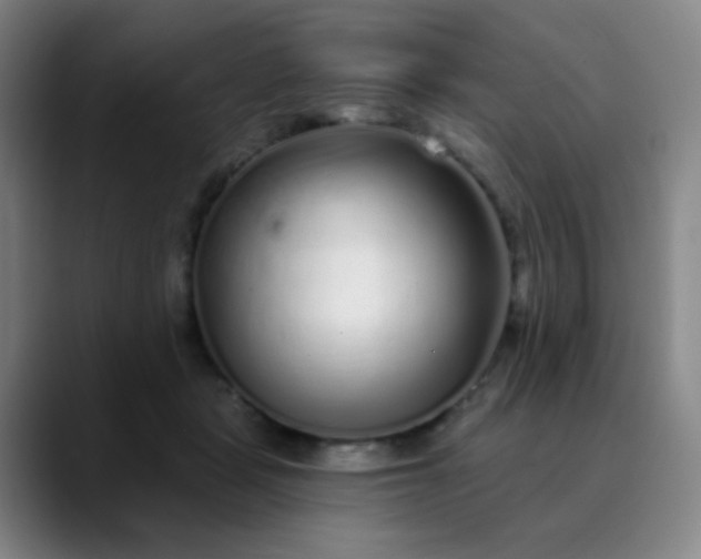 X0000089880461200707121816