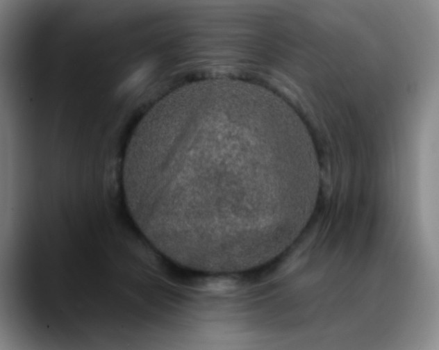 X0000089880462200707121816