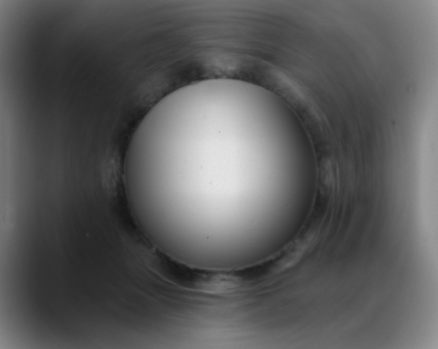 X0000089880463200707121816