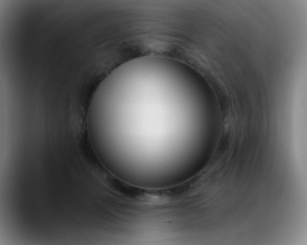 X0000089880464200707121816