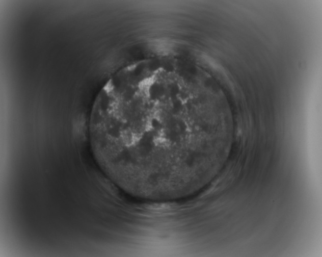 X0000089880465200707121816