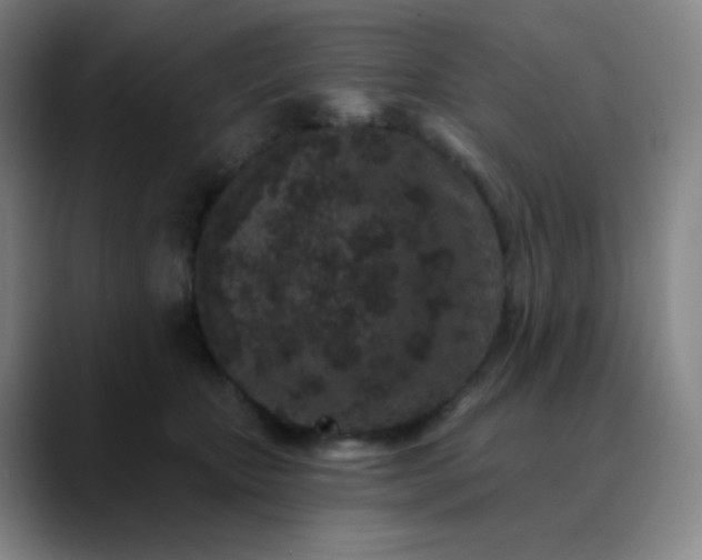 X0000089880467200707121816