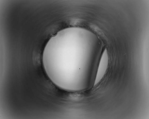 X0000089880470200707121816