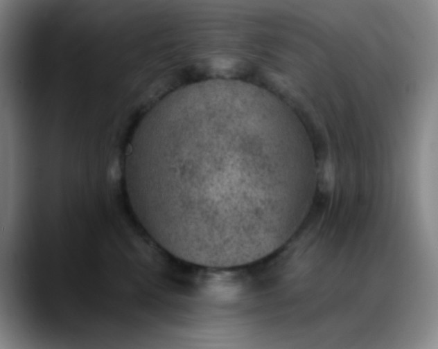 X0000089880472200707121816