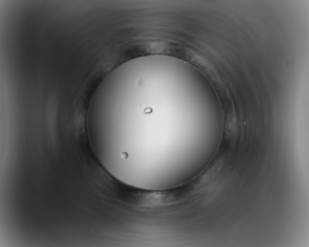 X0000089880473200707121816