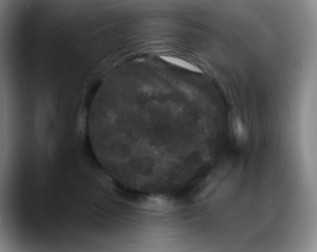 X0000089880475200707121816