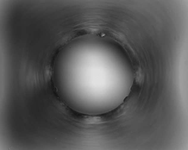 X0000089880476200707121816