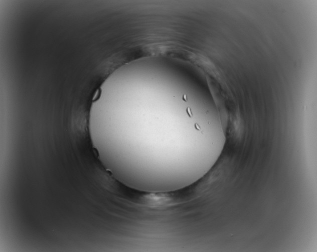 X0000089880477200707121816