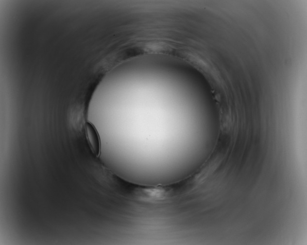 X0000089880478200707121816