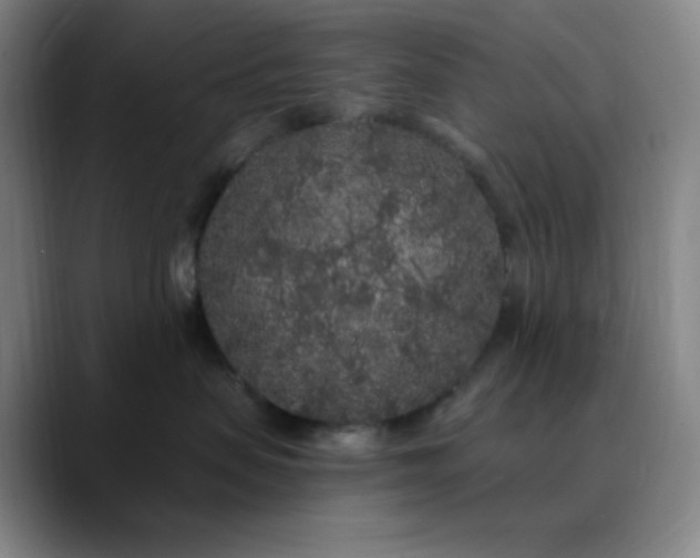 X0000089880479200707121816