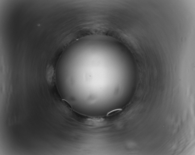 X0000089880480200707121816