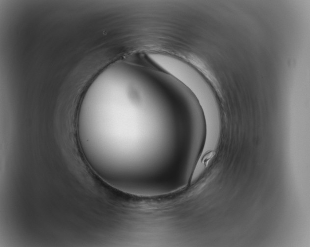 X0000089880481200707121815