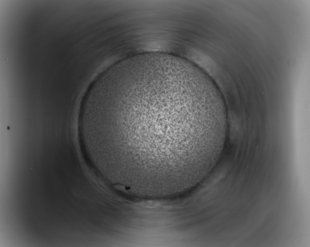 X0000089880482200707121815