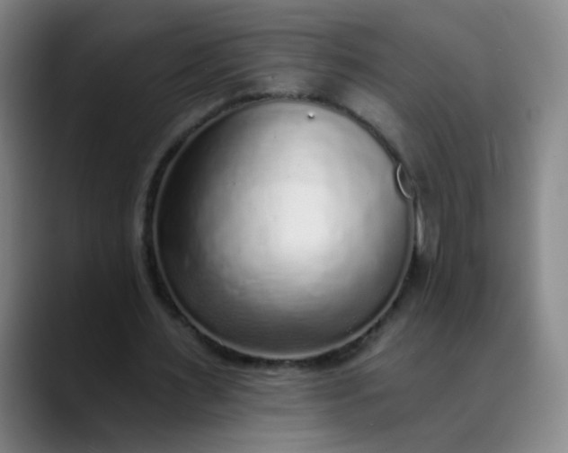 X0000089880483200707121815