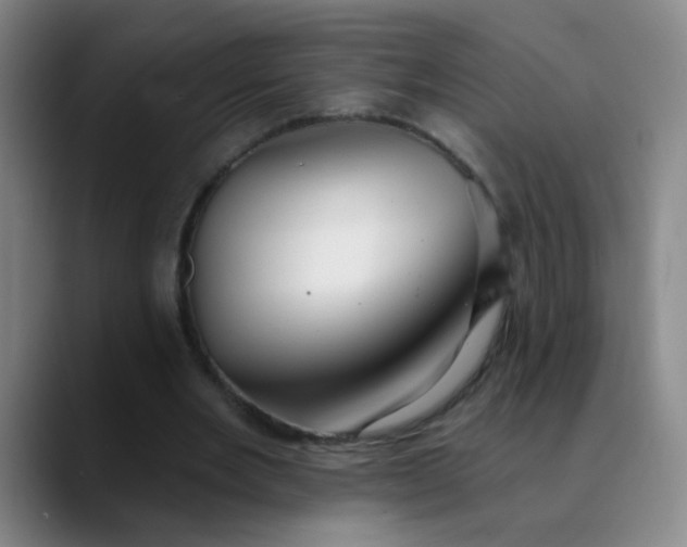 X0000089880485200707121815