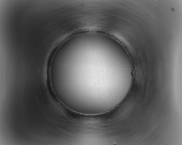 X0000089880486200707121815