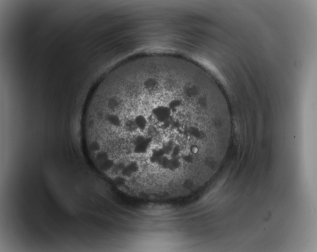 X0000089880487200707121815