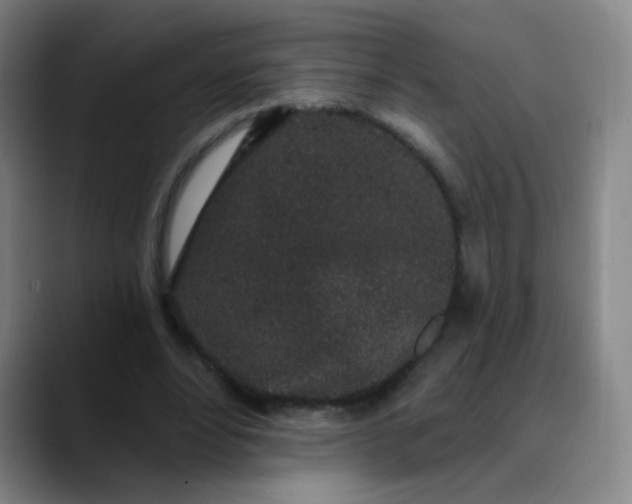 X0000089880488200707121815