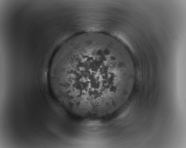 X0000089880491200707121815