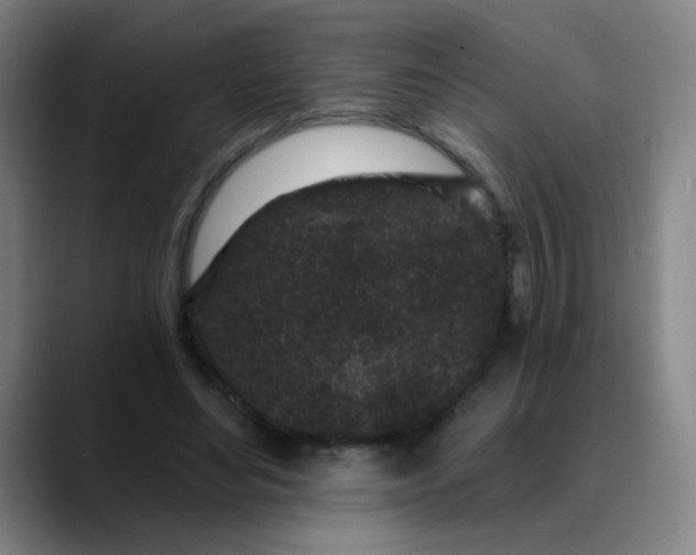 X0000089880492200707121815