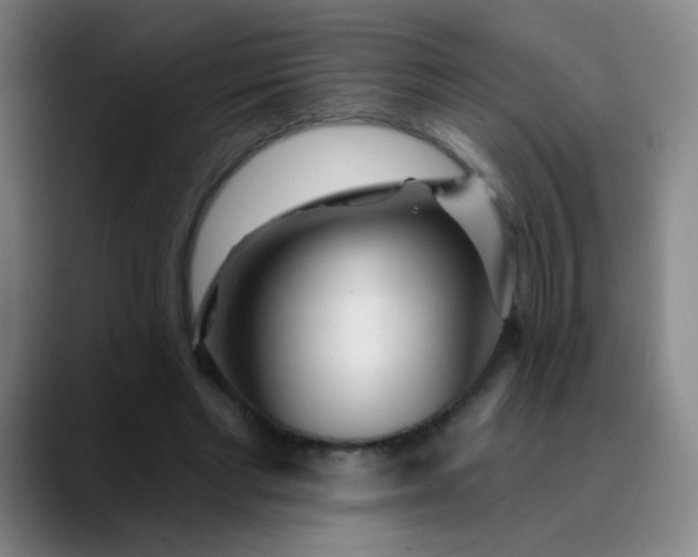 X0000089880493200707121815