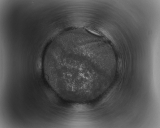 X0000089880494200707121815