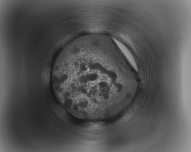 X0000089880495200707121815