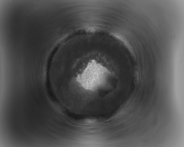 X0000089880496200707121815