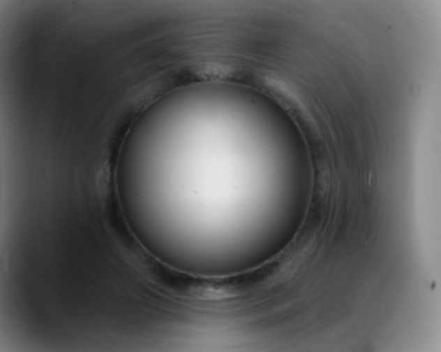 X0000089880498200707121815