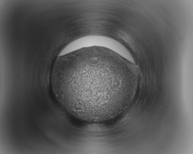 X0000089880499200707121815