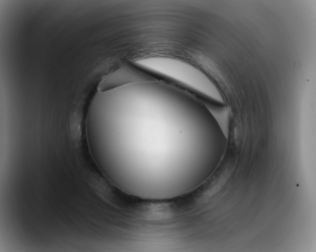 X0000089880501200707121815