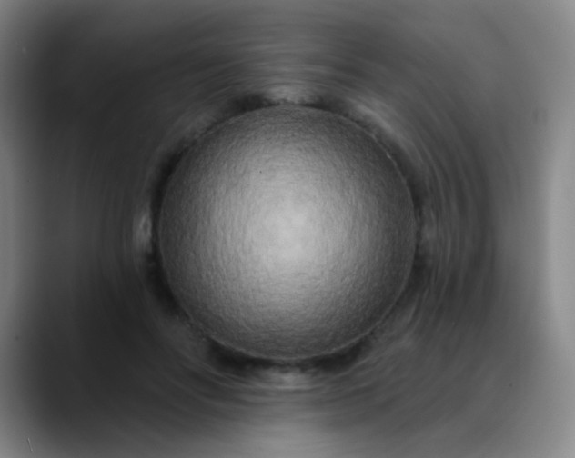 X0000089880502200707121815