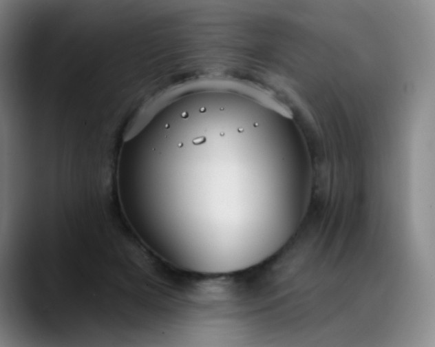 X0000089880505200707121815