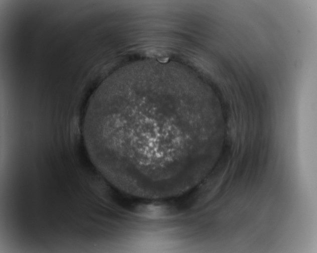 X0000089880506200707121815