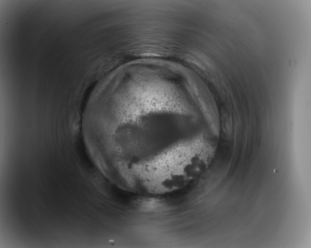 X0000089880507200707121815