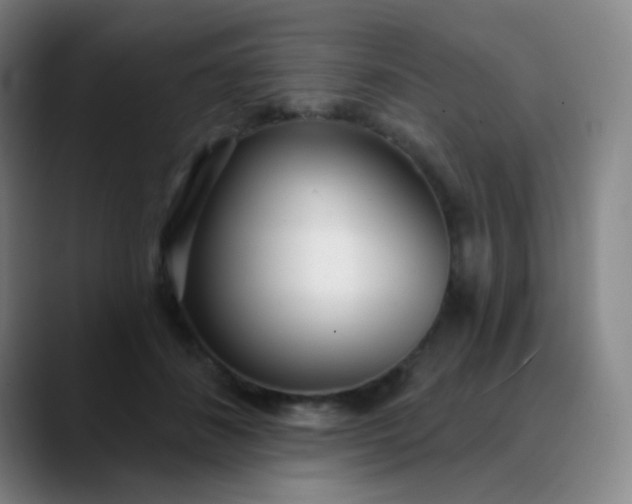 X0000089880508200707121815