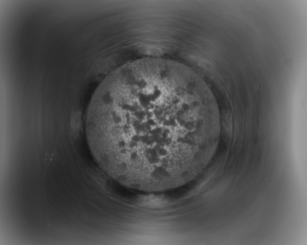 X0000089880511200707121815