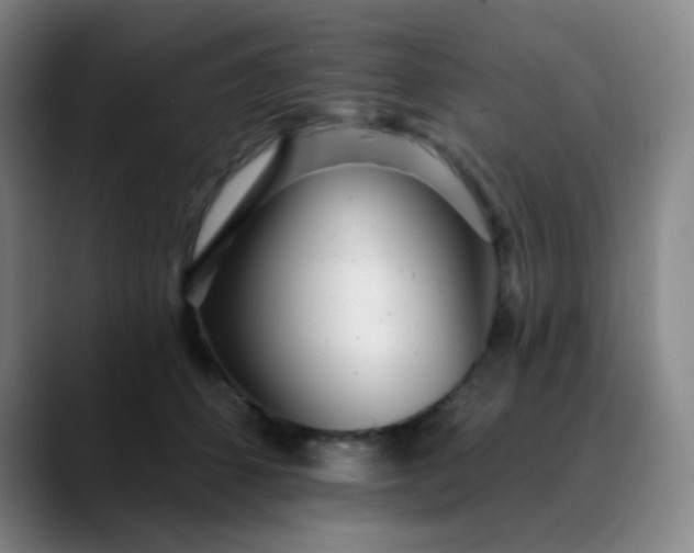 X0000089880512200707121815