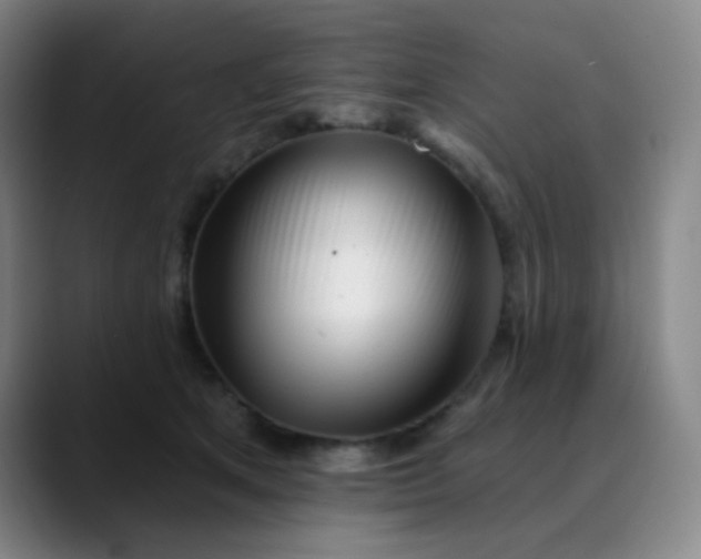 X0000089880513200707121815