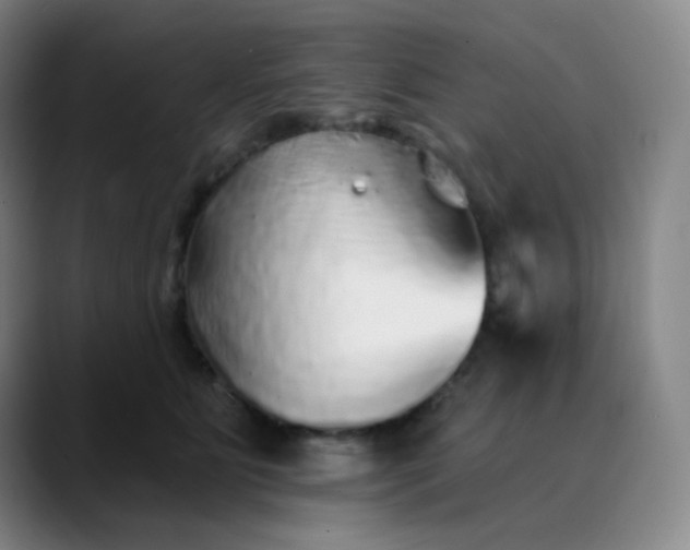 X0000089880515200707121815