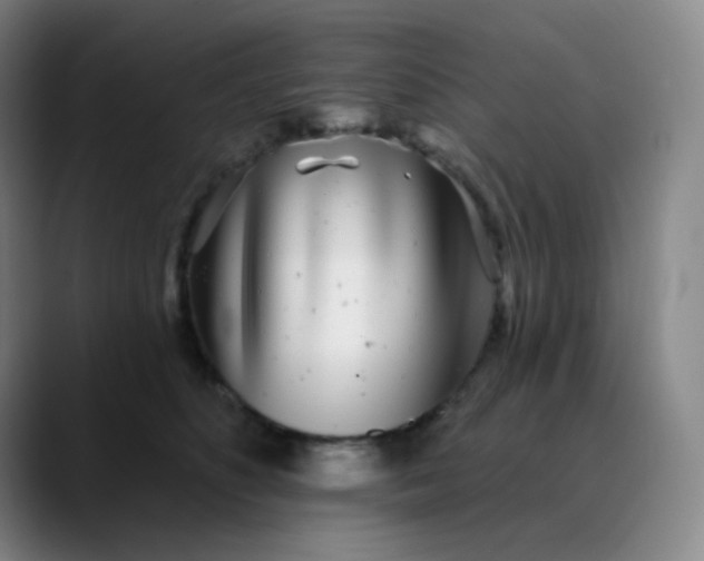 X0000089880516200707121815