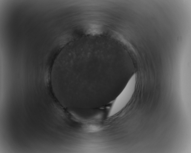 X0000089880517200707121815