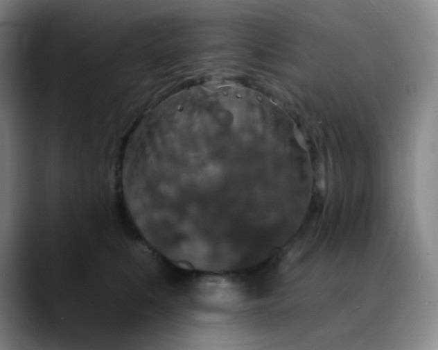 X0000089880519200707121815