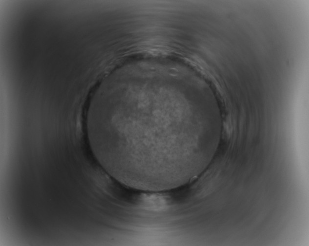 X0000089880520200707121815