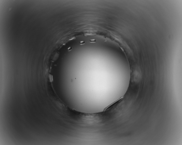 X0000089880521200707121815